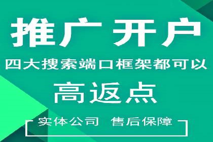 案例研究：百度竞价广告投放效果