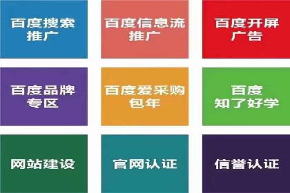 竞价代运营成功案例解析